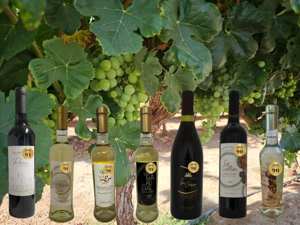 img_20240518_135700014